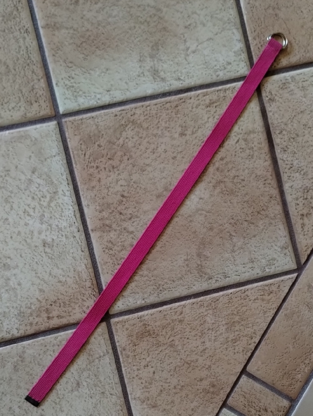 Pink Web Belt - Picture 6 of 7